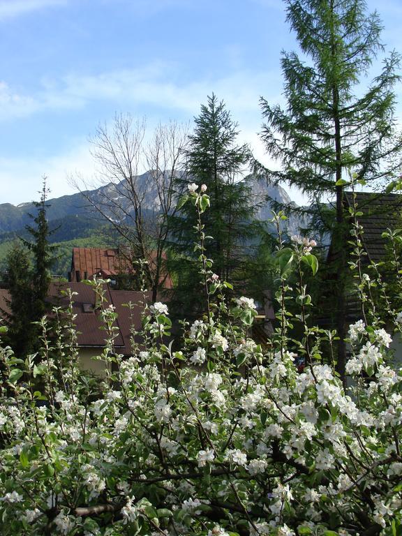 Holiday Home Patchwork Barn Zakopane Esterno foto